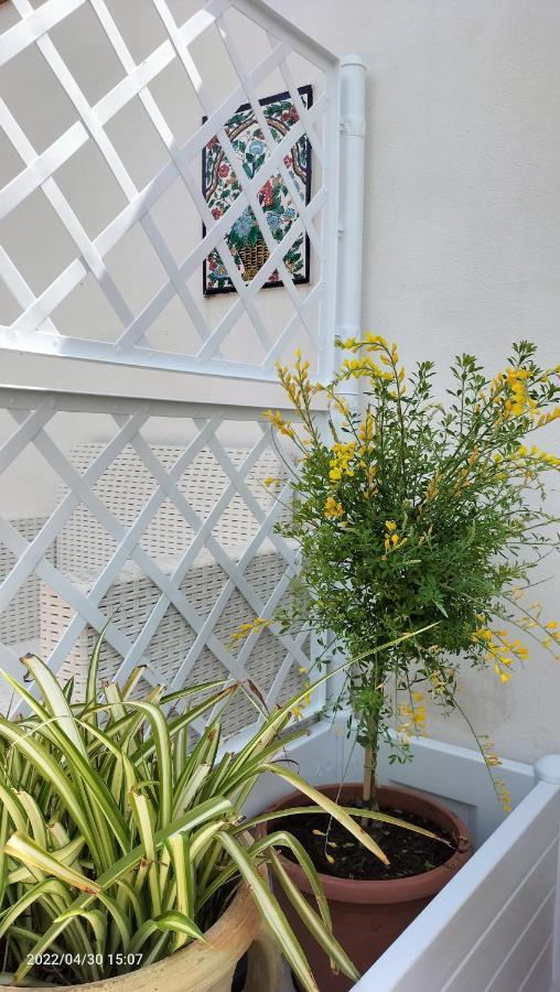 Villa Con Piscina Uso Esclusivo Mazara del Vallo Bagian luar foto